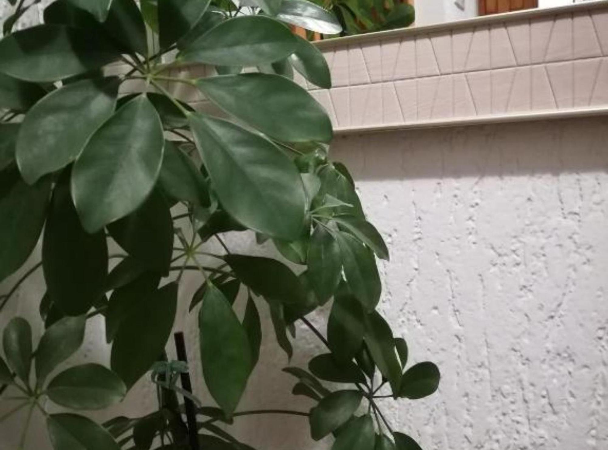 Apartman Olymp Osijek-Garaza المظهر الخارجي الصورة