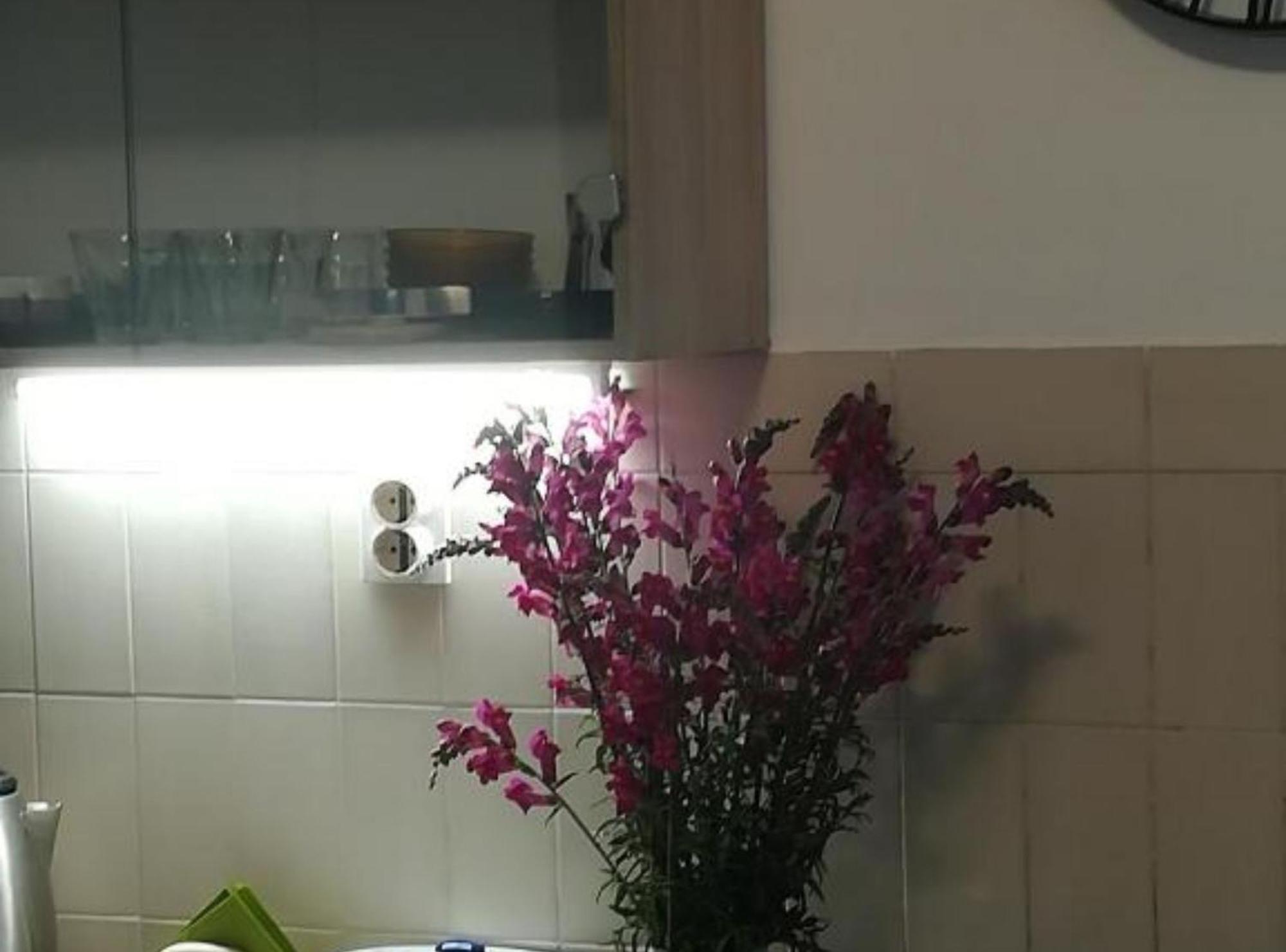 Apartman Olymp Osijek-Garaza المظهر الخارجي الصورة