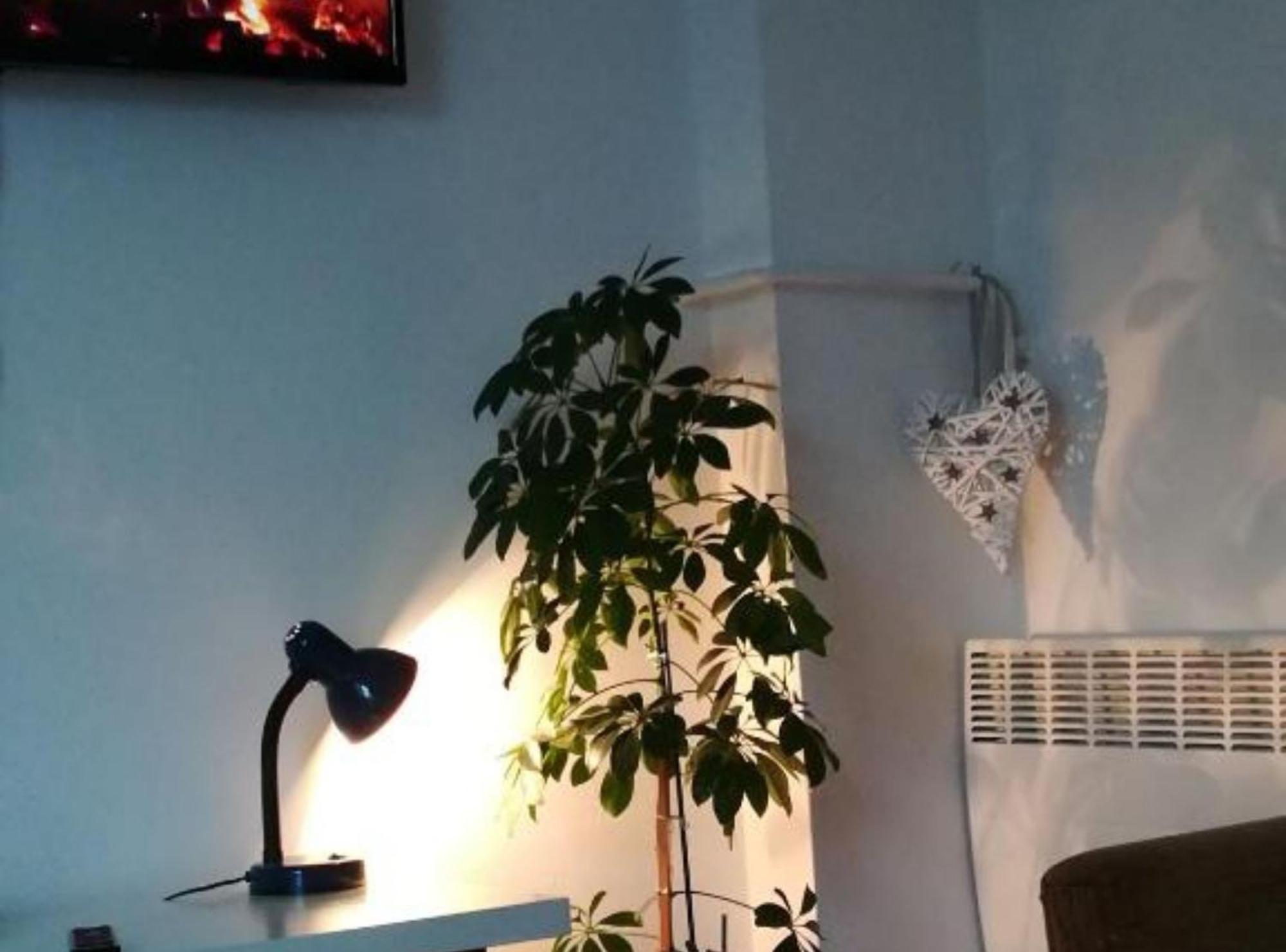Apartman Olymp Osijek-Garaza المظهر الخارجي الصورة